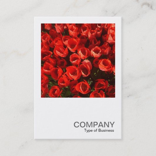 正方形の写真01 – チューリップ 名刺 (正面)