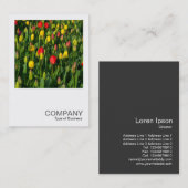 正方形の写真0202 -カラフルチューリップ 名刺 (正面/裏面)