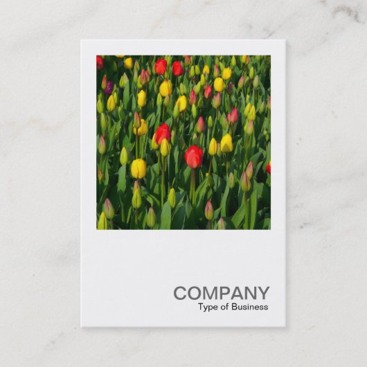 正方形の写真0202 -カラフルチューリップ 名刺 (正面)