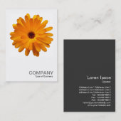 正方形の写真0233 – オレンジ色のマリゴールド 名刺 (正面/裏面)