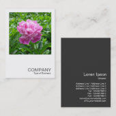 正方形の写真0234 – ピンク牡丹 名刺 (正面/裏面)