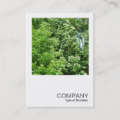 正方形の写真0237 - Summer Breeze 名刺 (正面)