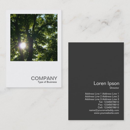 正方形の写真0254 -木を通した日曜日 名刺 (正面/裏面)