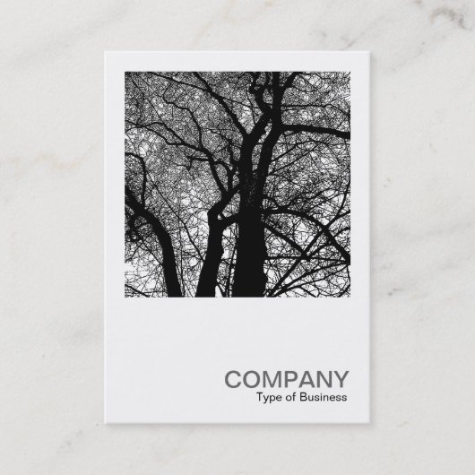 正方形の写真0277 – 高コントラストツリー 名刺 (正面)