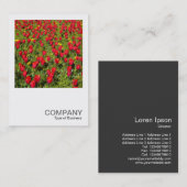 正方形の写真02 – チューリップ 名刺 (正面/裏面)