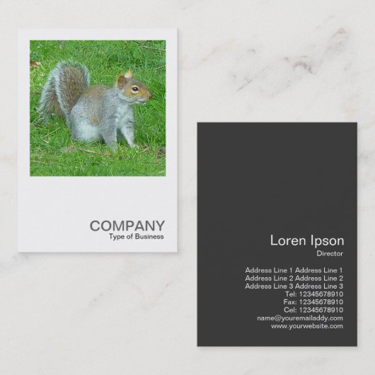 正方形の写真0325 – リス 名刺 (正面/裏面)