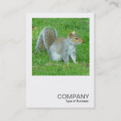 正方形の写真0325 – リス 名刺 (正面)