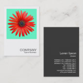 正方形の写真0344 - Red Devil onターコイズ 名刺 (正面/裏面)