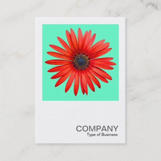 正方形の写真0344 - Red Devil onターコイズ 名刺 (正面)