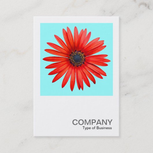 正方形の写真0344 - Red Devil on Ice Blue 名刺 (正面)