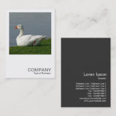 正方形の写真0350 – 白いガチョウ 名刺 (正面/裏面)