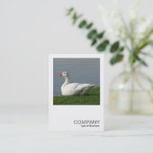 正方形の写真0350 – 白いガチョウ 名刺 (スタンド正面)