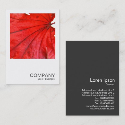 正方形の写真0352 -日本のなカエデの葉 名刺 (正面/裏面)