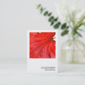 正方形の写真0352 -日本のなカエデの葉 名刺 (スタンド正面)