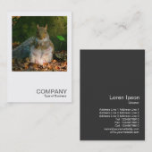 正方形の写真0355 – 灰色リス 名刺 (正面/裏面)