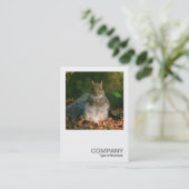 正方形の写真0355 – 灰色リス 名刺 (スタンド正面)