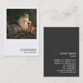 正方形の写真0364 – 灰色リス 名刺 (正面/裏面)