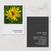 正方形の写真0365 – 黄色のクリサンにホバーフライ 名刺 (正面/裏面)