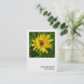 正方形の写真0365 – 黄色のクリサンにホバーフライ 名刺 (スタンド正面)