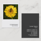 正方形の写真0374 – 黄色のデイジーとビー 名刺 (正面/裏面)