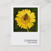 正方形の写真0374 – 黄色のデイジーとビー 名刺 (正面)