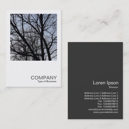 正方形の写真0382 – シルエットされた枝 名刺 (正面/裏面)