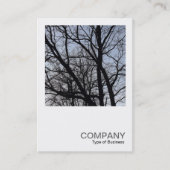 正方形の写真0382 – シルエットされた枝 名刺 (正面)