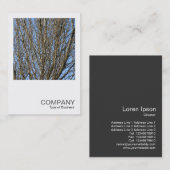 正方形の写真0385 – 日に照らされた枝 名刺 (正面/裏面)