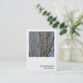 正方形の写真0385 – 日に照らされた枝 名刺 (スタンド正面)