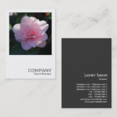 正方形の写真0394 – ピンクの椿 名刺 (正面/裏面)