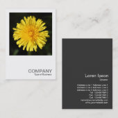 正方形の写真0400 - Dandelion 名刺 (正面/裏面)