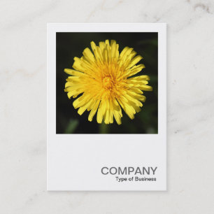 正方形の写真0400 - Dandelion 名刺