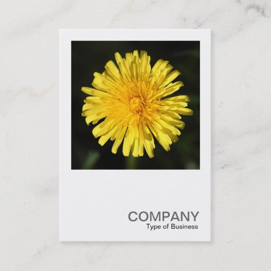 正方形の写真0400 - Dandelion 名刺 (正面)