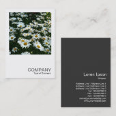 正方形の写真042 -デイジー 名刺 (正面/裏面)