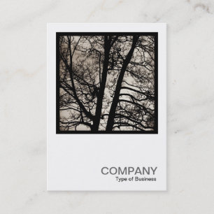 正方形の写真0433 - Tree Spirits 名刺