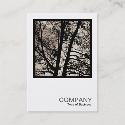 正方形の写真0433 - Tree Spirits 名刺 (正面)