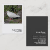 正方形の写真0452 – 白鳩 名刺 (正面/裏面)