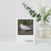 正方形の写真0452 – 白鳩 名刺 (スタンド正面)