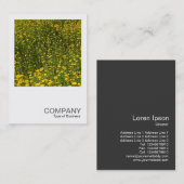 正方形の写真0480 – 黄色のデイジー 名刺 (正面/裏面)