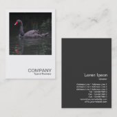 正方形の写真0483 – 黒い白鳥 名刺 (正面/裏面)