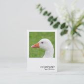 正方形の写真0488 – ホワイトガチョウ 名刺 (スタンド正面)