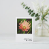 正方形の写真0506 – アフリカのデイジー 名刺 (スタンド正面)
