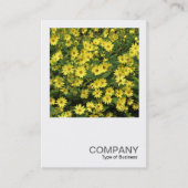 正方形の写真0508 – 黄色のデイジー 名刺 (正面)