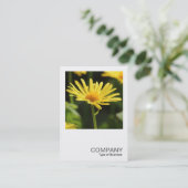 正方形の写真0542 – 黄色のデイジー 名刺 (スタンド正面)