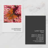 正方形の写真0553 – セダムのカンマ蝶 名刺 (正面/裏面)