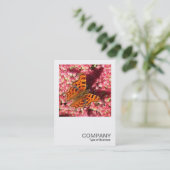 正方形の写真0553 – セダムのカンマ蝶 名刺 (スタンド正面)