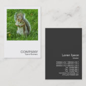正方形の写真0553 – 灰色リスの驚き 名刺 (正面/裏面)