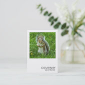 正方形の写真0553 – 灰色リスの驚き 名刺 (スタンド正面)