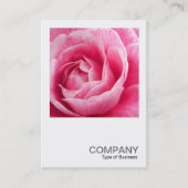 正方形の写真082 – ピンクのカメリア 名刺 (正面)