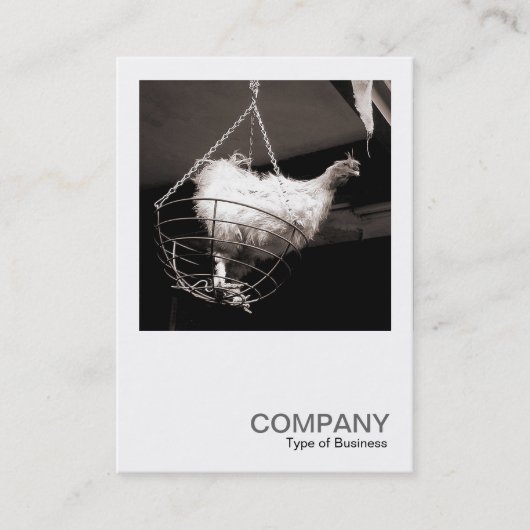 正方形の写真086 -バスケットの鶏 名刺 (正面)